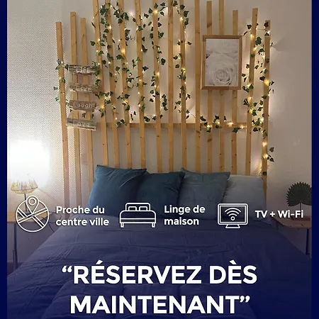 Appartement Business&Famille Pres Gare Orleans Tv Wifi Buitenkant foto