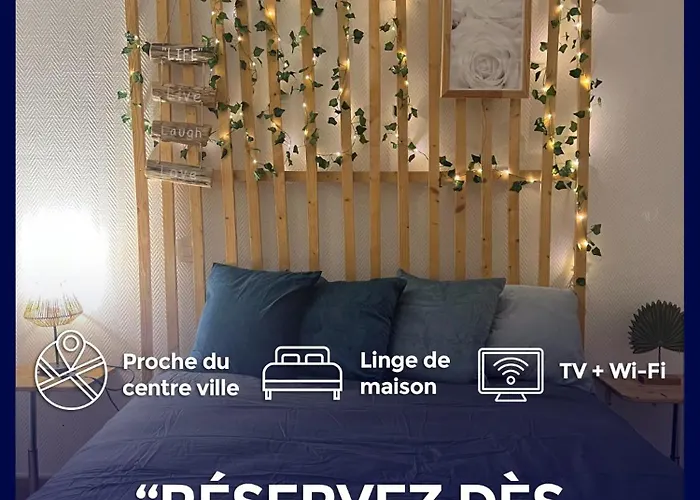 Appartement Business&Famille Pres Gare Orleans Tv Wifi